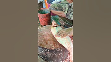 Amazing! pangas fish cleaning and cutting style😳😱 || #shorts #fishcutting_skills