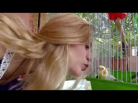 ვიდეო: თუთიყუში არ ჭამს