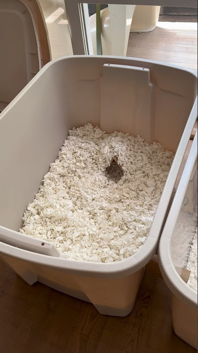 I made this hideout for my hamster