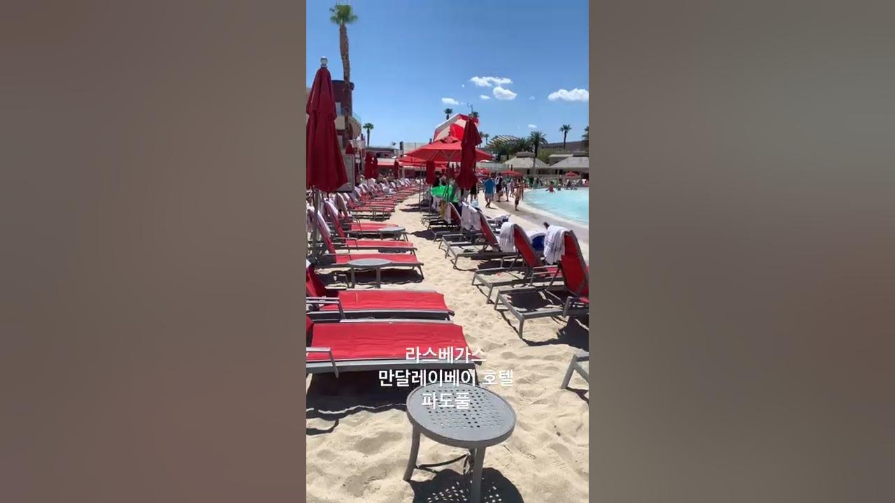 파도풀 만달레이베이 호텔 라스베가스 #Sorts #쇼츠 #라스베가스 #파도풀 #Pool #Lasvegas #Mandalaybay -  Youtube