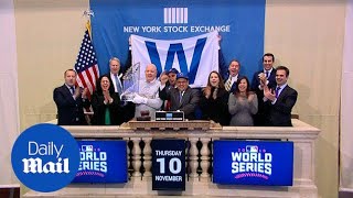 Stocks continue to rebound in second day since Trump's election - Daily Mail