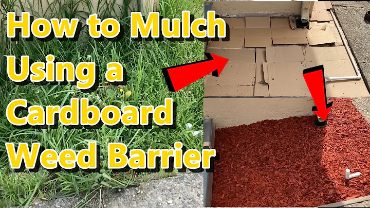 Cardboard Weed Barrier DIY for Mulching