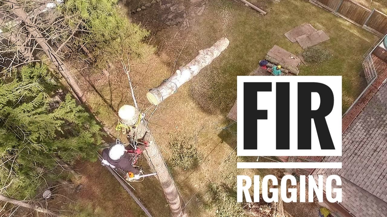 Smooth Tree Rigging - YouTube