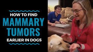 How to Find Mammary Tumors Earlier in Dogs: Vlog 60