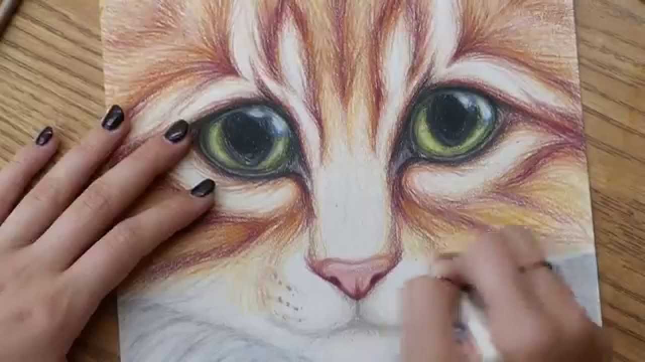 Kitty Cat with Big Eyes Colored Pencil Drawing - Full ...