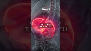 Effect Of Haram Food And Haram Earnings