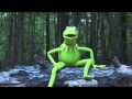 Kermit The Frog Takes The ALS Ice Bucket Challenge Kermit The Frog Takes The ALS Ice Bucket Challenge