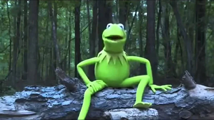 Kermit the Frog Takes the ALS Ice Bucket Challenge