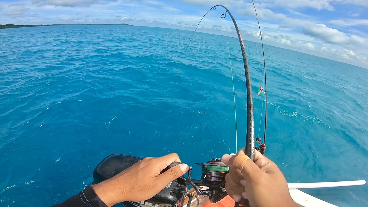 BARU 2X TURUN UMPAN LANGSUNG DI SAMBAR , TES JORAN TERBARU DAIDO EMPEROR BLACK MAMBA, CATCH AND COOK