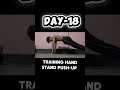DAY-18 TRAINING HAND STAND PUSH-UP