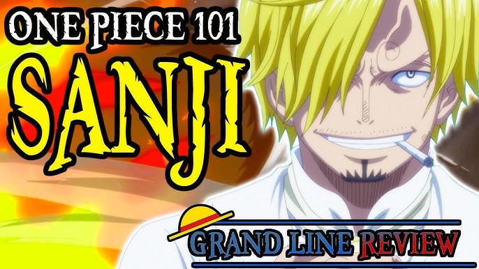 EXPLAINING the One Piece World!, One Piece 101