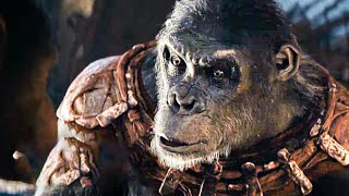 Kingdom of the Planet of the Apes Full Movie - Hollywood Full Movie 2024 - Full Movies in English