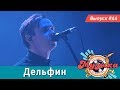 Настоящая музыка — Выпуск #44 (Дельфин)