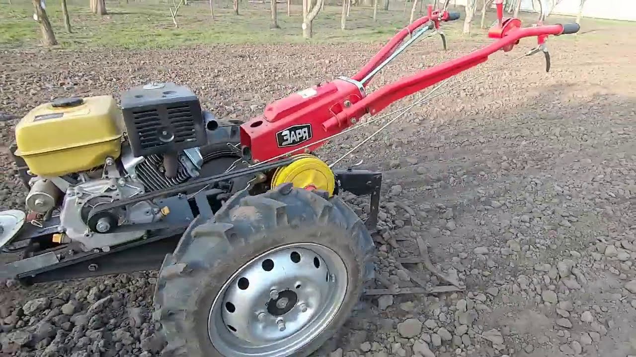 Секрета при выращивании АРАХИСА больше нет! Как вырастить арахис за 8 минут.