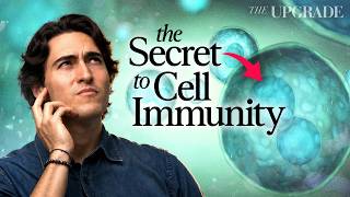 Your Source of Happiness Determines Your Immunity