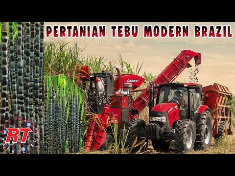 Pertanian Tebu Modern Terbesar di Brazil Untuk Membuat Bahan Bakar Ethanol