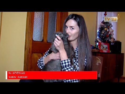 ია გოლიაძე - სხვა კუთხით