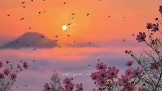 Unutursun Içim Yanar Watsap Statusu Üçün