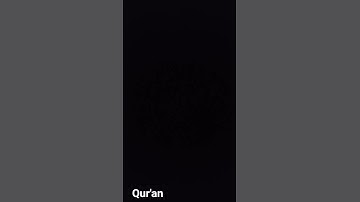 #quran #تلاوة_قرآن #القرآن_الكريم #qurankareem #quranforthesoul #خشوع #تلاوة_مؤثرة #تلاوة_خاشعة