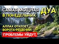 САМАЯ СИЛЬНАЯ Дуа в ПОНЕДЕЛЬНИК‼️, ДАЕТ УВАЖЕНИЕ, БОГАТСТВО, РИЗК, ДЕНЬГИ, УСПЕХ И СЧАСТЬЕ! #дуа