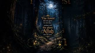 The Forest Does Not Bloom in One Day