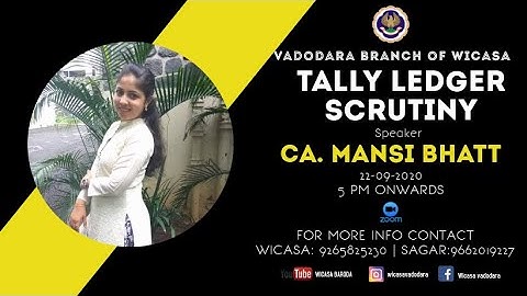 Tally Ledger Scrutiny