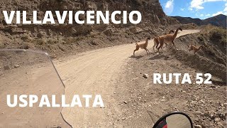 VILLAVICENCIO A USPALLATA. Me cruzo con una manada de Guanacos!!!! MENDOZA.