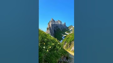 إن الله وملائكته يصلون على النبي..#الصلاة #الصلاة_على_النبي #اكسبلور #quran #تلاوات #القرآن_الكريم