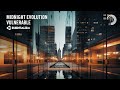 Midnight Evolution - Vulnerable [Essentializm] Extended