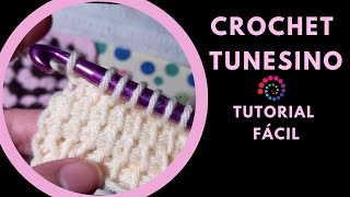 Maravilloso Super Fácil Tunisian Crochet Para Principiante Online Tutorial 