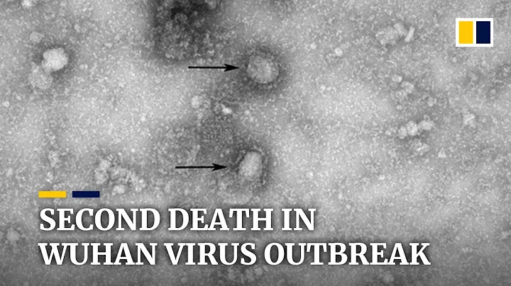 Wuhan virus: second death reported in China as Japan finds first case - DayDayNews