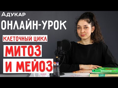 Клеточный цикл. Митоз и мейоз | Биология онлайн-урок