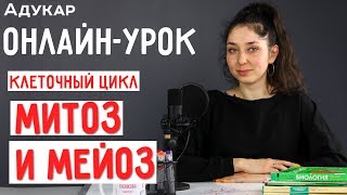 Клеточный цикл. Митоз и мейоз | Биология онлайн-урок screenshot 1