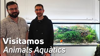 Explorando Animals Aquatics | Tienda de Acuariofilia en Barcelona