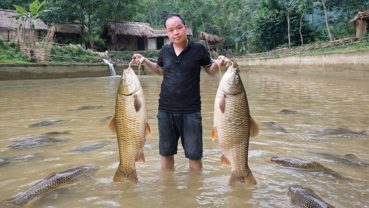 Breaking the Wall Between Two Fish Ponds | Huge Fish Harvest After 5 Years