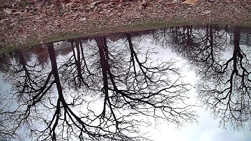 MJX Bugs 2 new motors crash