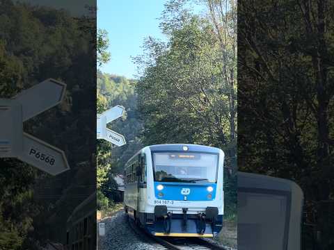 814 167 - Regionova