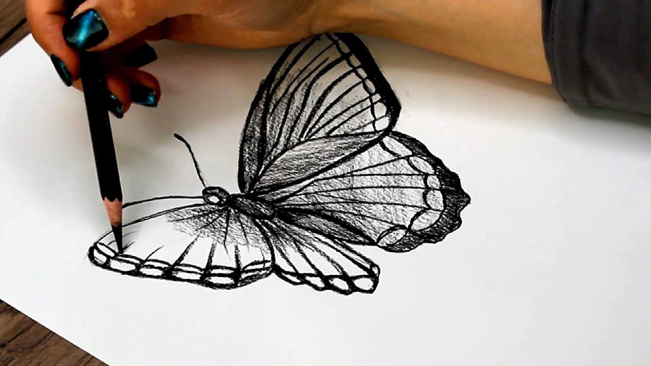 How to draw a butterfly step by step | Pencil drawing tutorial | Easy ...