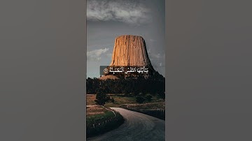 سورة الفجر بصوت الشيخ أنس العمادي