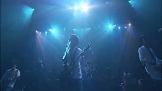 Watch Pillows Black Sheep video