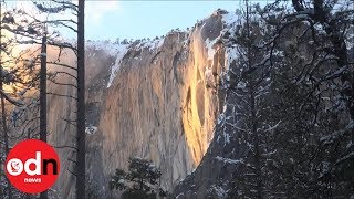 A mesmerising 'firefall' has stunned visitors to yosemite national
park in california as the winter sun catches melting snow caps on top
of el capitan, creat...