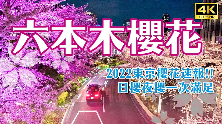 2022东京唯一的夜樱点灯？带你看六本木中城满开樱花！日樱、夜樱梦幻到不行🌸樱坂、桧町公园、六本木东京中城4K散步影片｜日本东京一日赏樱景点攻略・日本旅游VLOG - 天天要闻