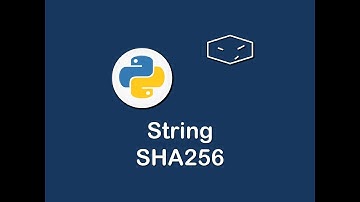 string sha256 hash in python 😀