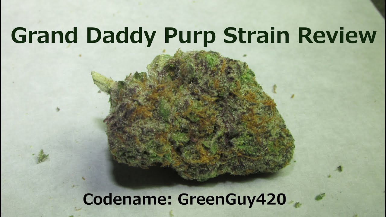 GRAND DADDY PURP STRAIN REVIEW(CGG420)