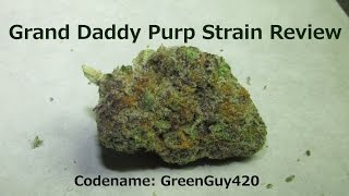 GRAND DADDY PURP STRAIN REVIEW(CGG420)
