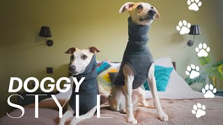 Inside a dog's wardrobe: celebrity hairstylist George Northwood's whippets | Doggy Style