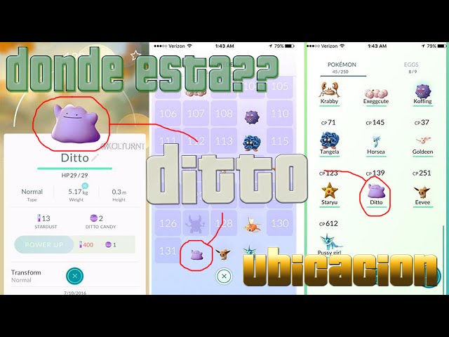 Pokémon GO BR on X: 🔍 Procurando Ditto como se não houvesse