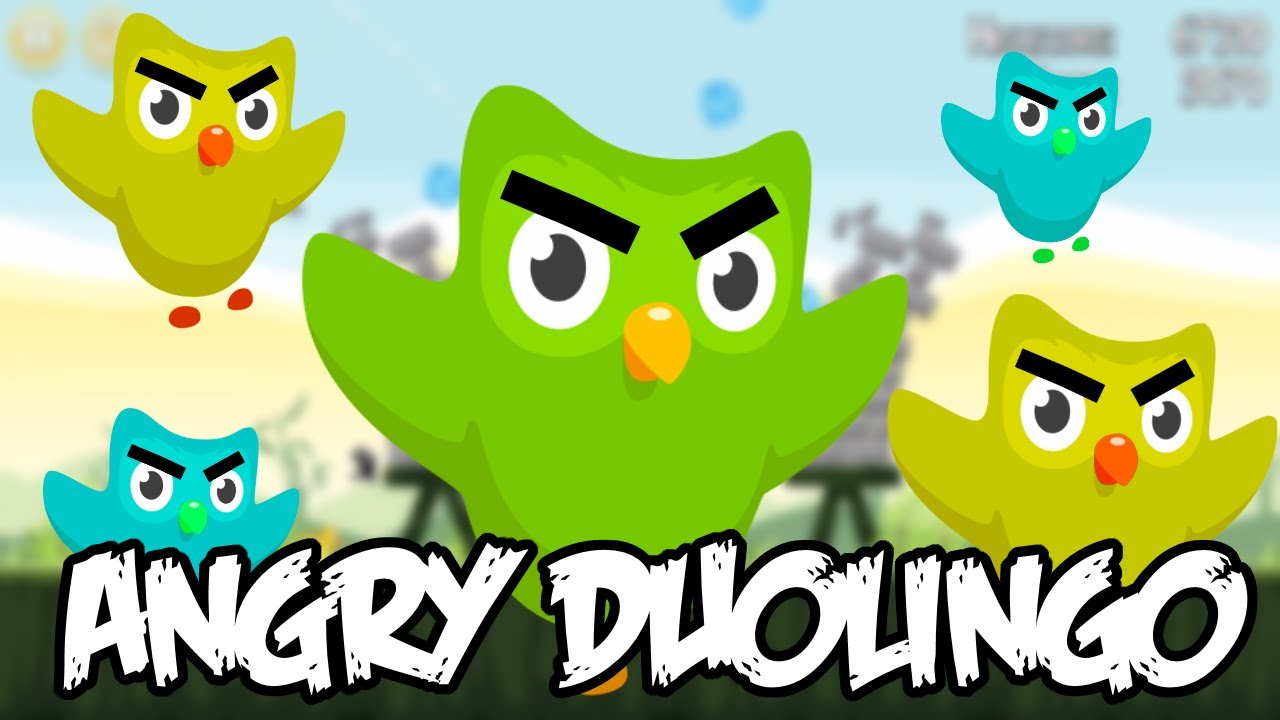 duolingo, angry birds, duolingo meme, duolingo memes, duolingo bird, duolin...