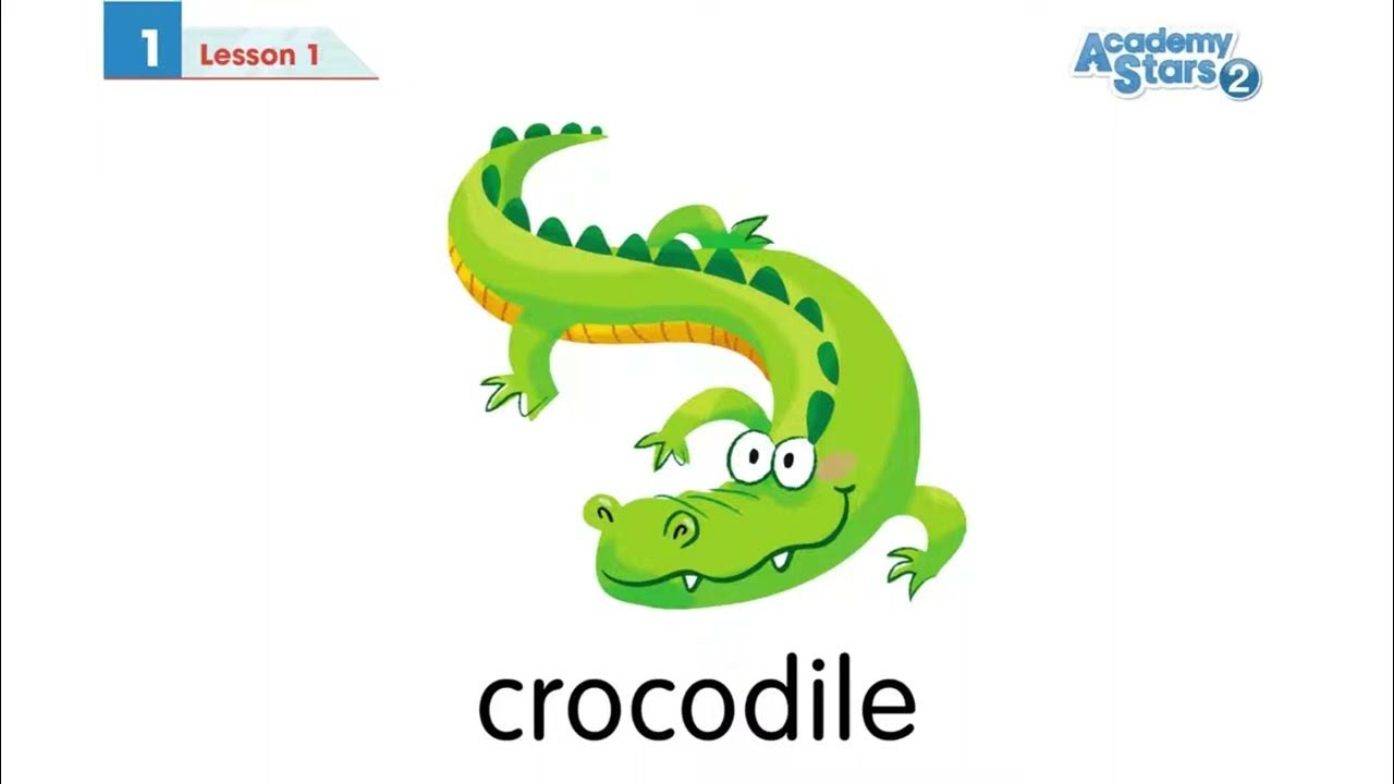 Academy stars starter 1. Academy stars starter pupil's book. Academy stars 2 unit 5. Учебник academy stars starter. Academy stars 1 unit 2.