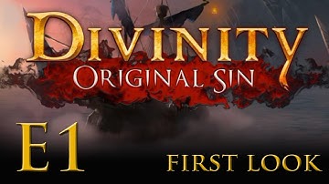 Divinity: Original Sin - Let